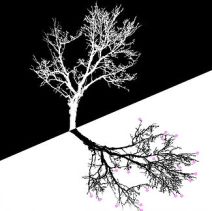 WFS-979ade_d59fb056a6fe4e669f0638e3fd8617a7~mv2_d_3543_3543_s_4_2