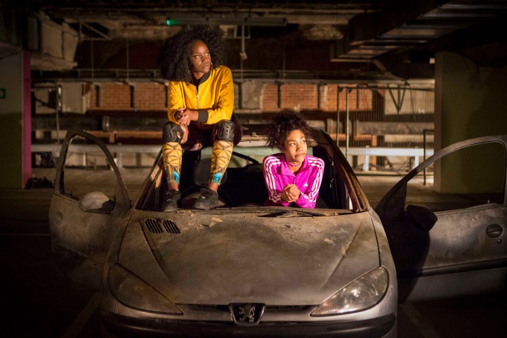 PHOENIX-RISING-credit Rick Findler