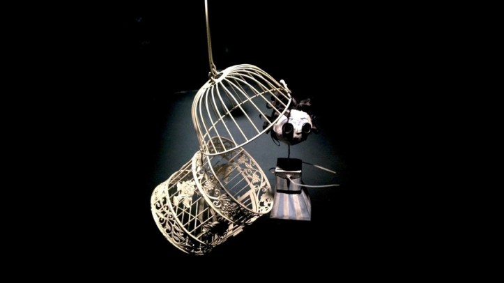 11-13-2018-004325-2645 - resize 3